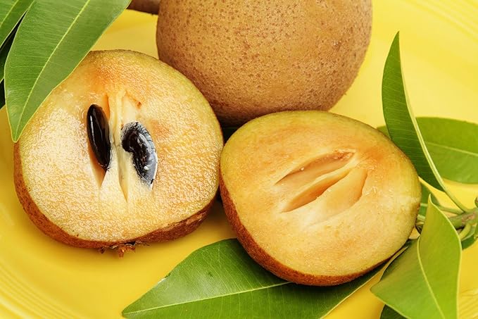 Discover the Nutriyield Difference: Embrace the Goodness of Organic Sapota and Guava